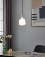 EGLO Vintage Spezial E27 LED Lampe TS140 4W 2700K warmweiss dimmbar 9002759118990