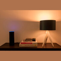 Müller Licht LED Lampe C35 tint Candle E14 white 404008