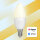 Müller Licht LED Lampe C35 tint Candle E14 white 404008
