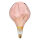 SIGOR LED 4W Giant Drop kupfer metallic E27 120lm 1800K dimmbar Globe A165 Warmweiss