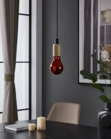 Eglo 110089 LED E27 Leuchtmittel 1x4W Ø75mm warmweiss dimmbar