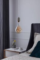 Eglo 110111 LED E27 Leuchtmittel 1x8W Ø160mm...