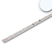 ISOLED LED Platine Backlight 860, 1175mm, 180° Linse,...