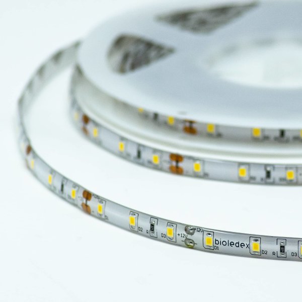 LED Streifen 12V, 5m-Rolle, 25W, 6500K, tageslichtweiss