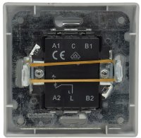 DELPHI Taster mit Namensschild 0-250V~/ 10A, inkl. Rahmen, UP, silber