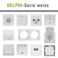 Delphi weiss Steckdosenprogramm